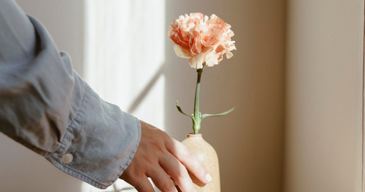 edible-carnations.jpg