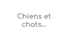 http://www.chiensetchatsnaturellement.com