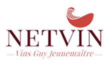 http://www.netvin.com