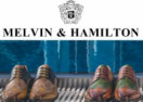 http://www.melvin-hamilton.fr