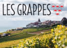 http://lesgrappes.com