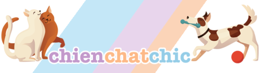 http://www.chienchatchic.com