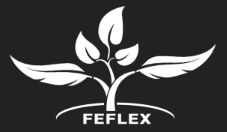 http://feflex.com