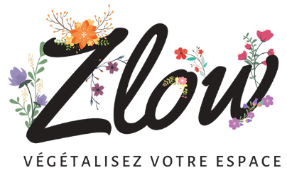 http://zlow.fr