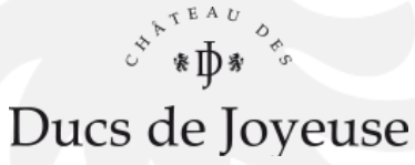 http://chateau-des-ducs.com